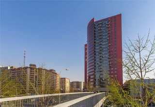 淡水珍珠粉代加工